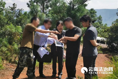 云南楚雄市法院设立“1+4”生态司法保护基地 构筑护航绿水青山法治屏障